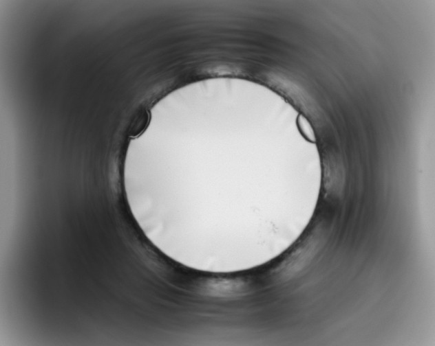 X0000095910453200802081056