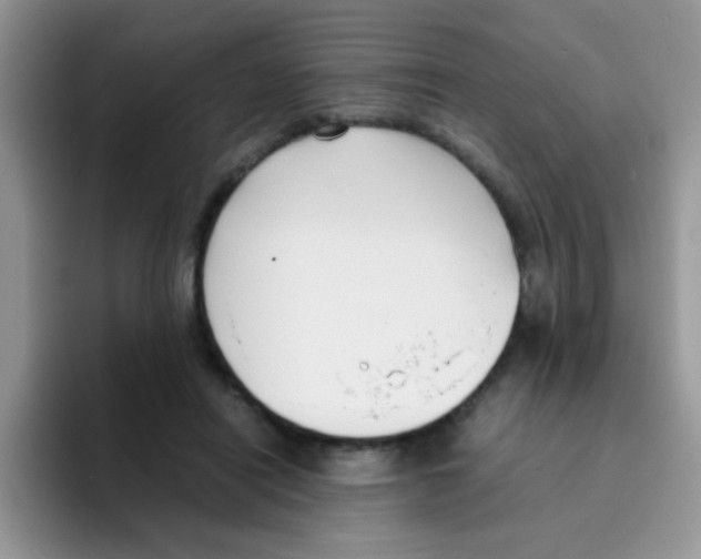 X0000095910454200802081056