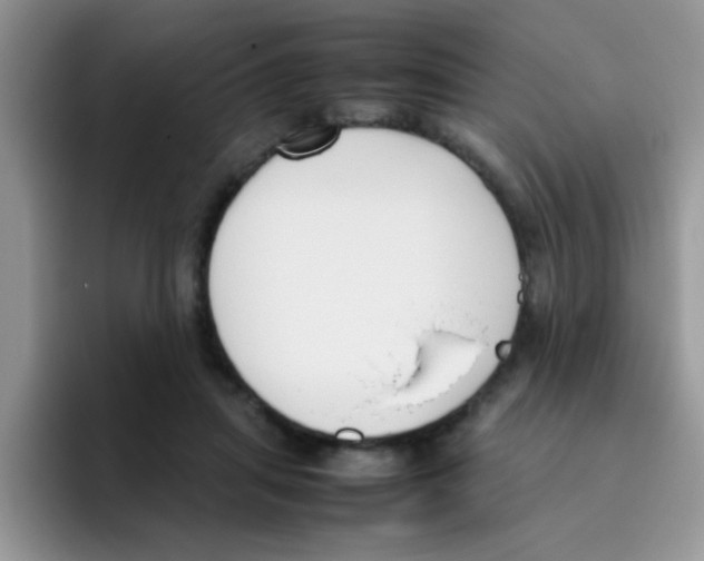 X0000095910455200802081056