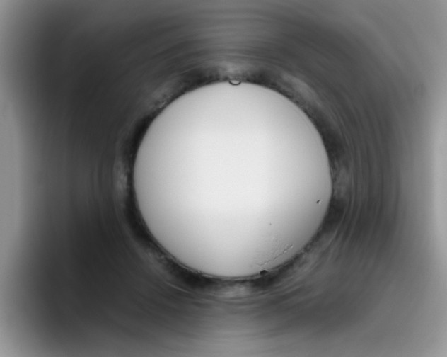 X0000095910456200802081056