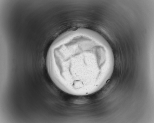 X0000095910459200802081056