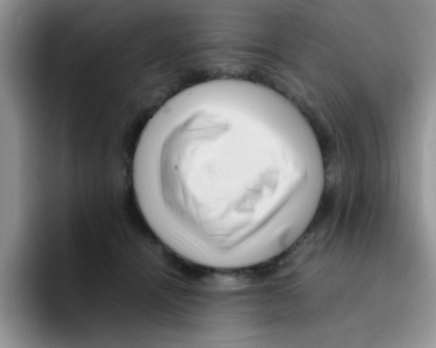 X0000095910464200802081056