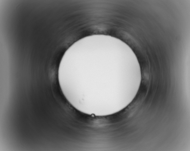 X0000095910468200802081056