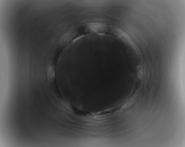 X0000095910471200802081056