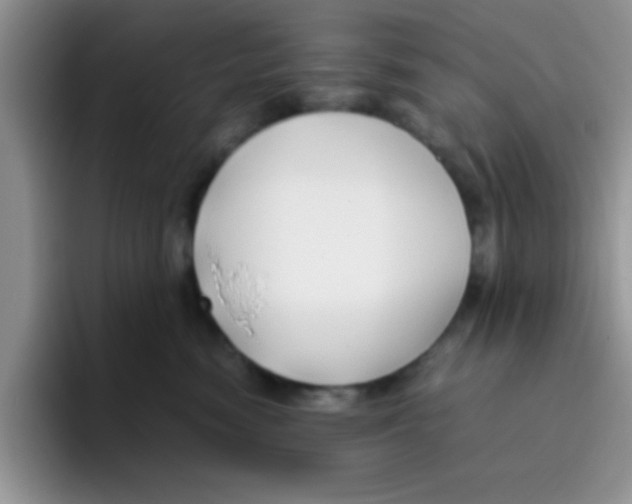 X0000095910474200802081057