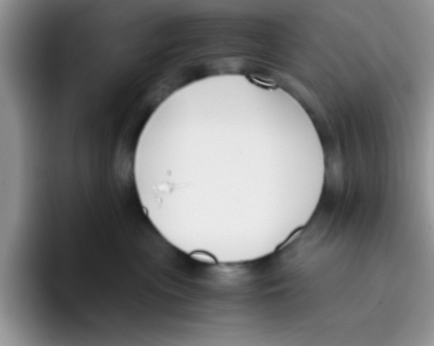 X0000095910477200802081057