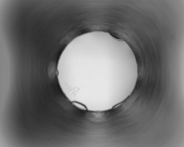 X0000095910478200802081057