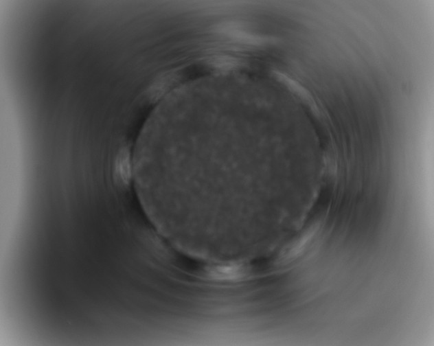 X0000095910479200802081057