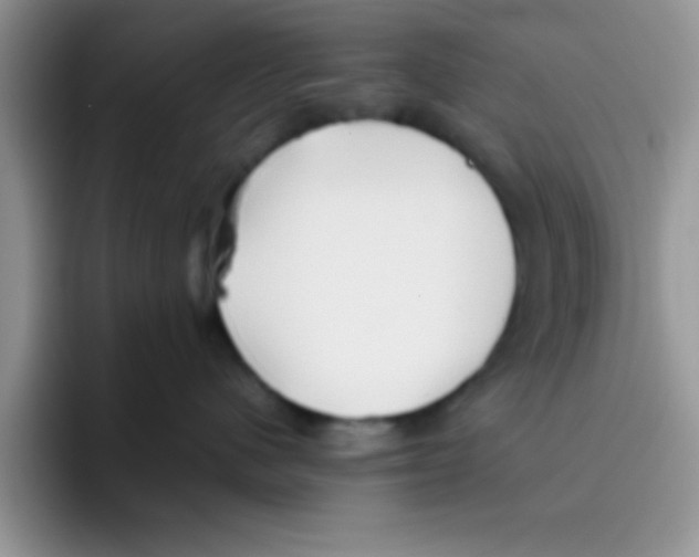 X0000095910480200802081057