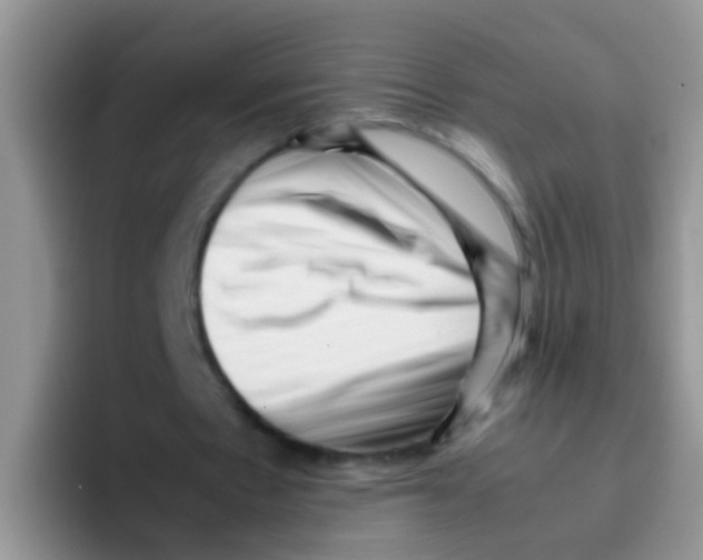 X0000095910481200802081056