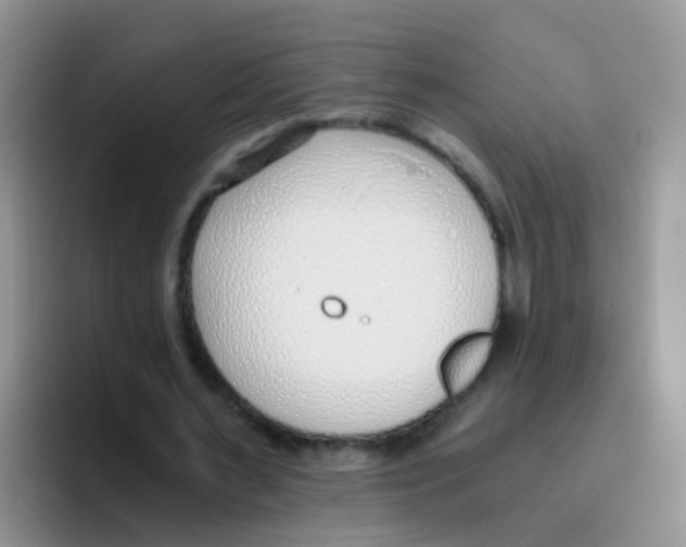 X0000095910483200802081056