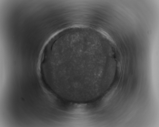 X0000095910484200802081056