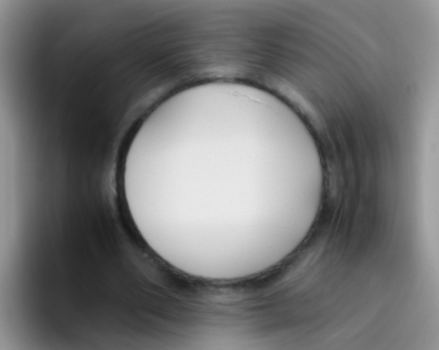 X0000095910486200802081056