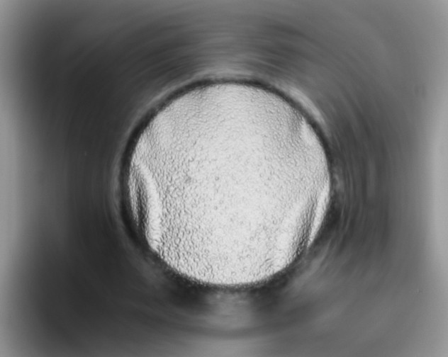 X0000095910487200802081056