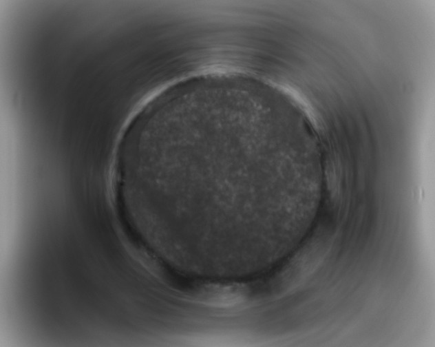 X0000095910488200802081056