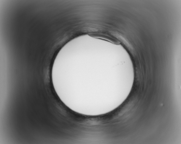 X0000095910489200802081056