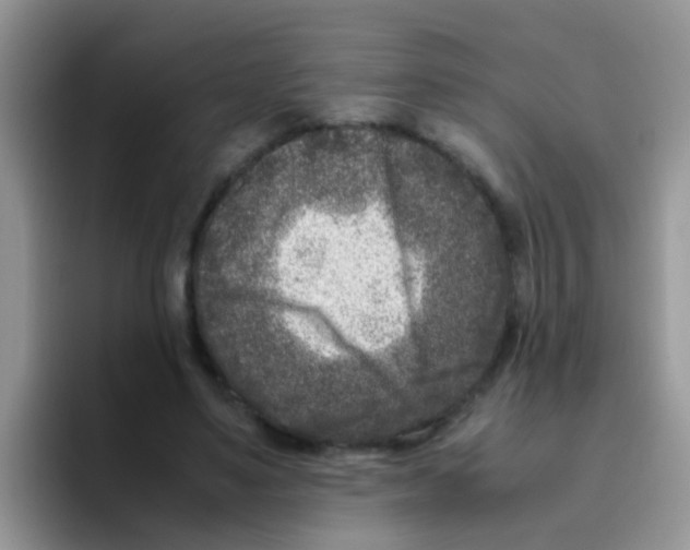 X0000095910491200802081056