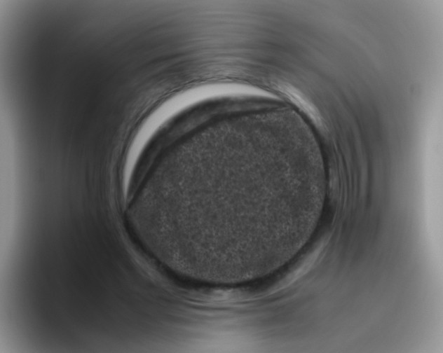 X0000095910493200802081056