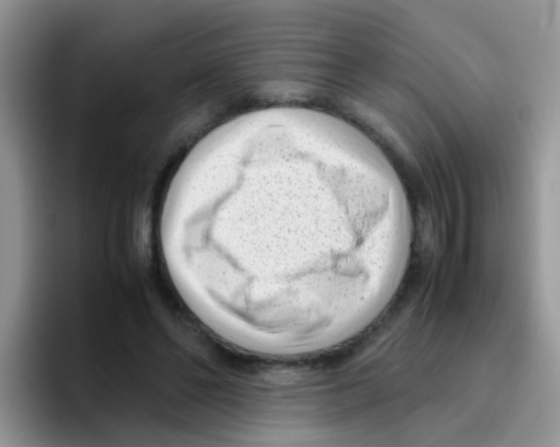 X0000095910494200802081056