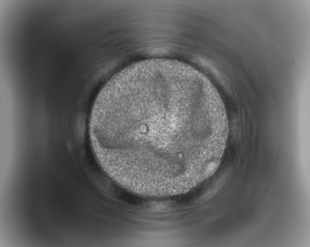 X0000095910495200802081056