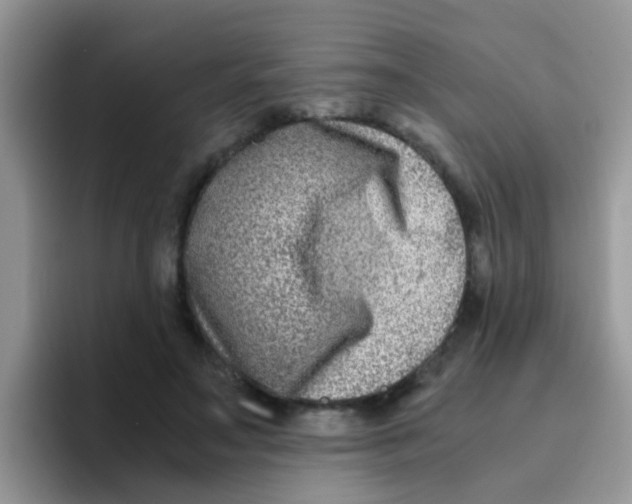 X0000095910499200802081056