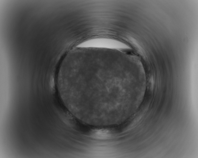 X0000095910500200802081056