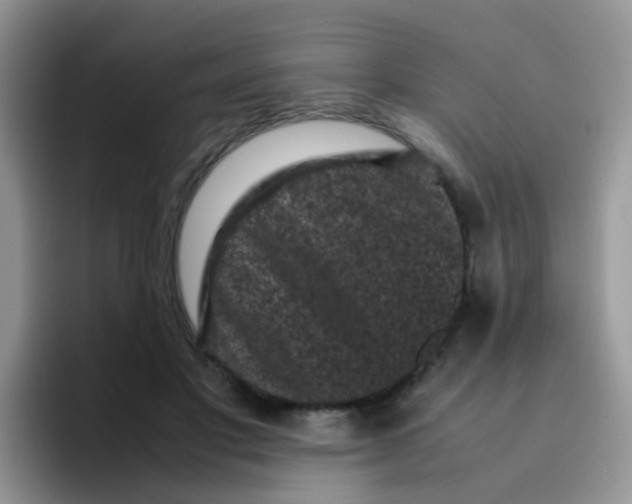 X0000095910501200802081056