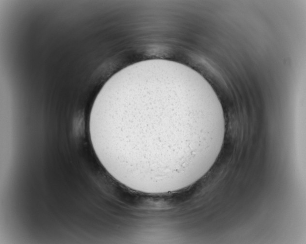 X0000095910502200802081056