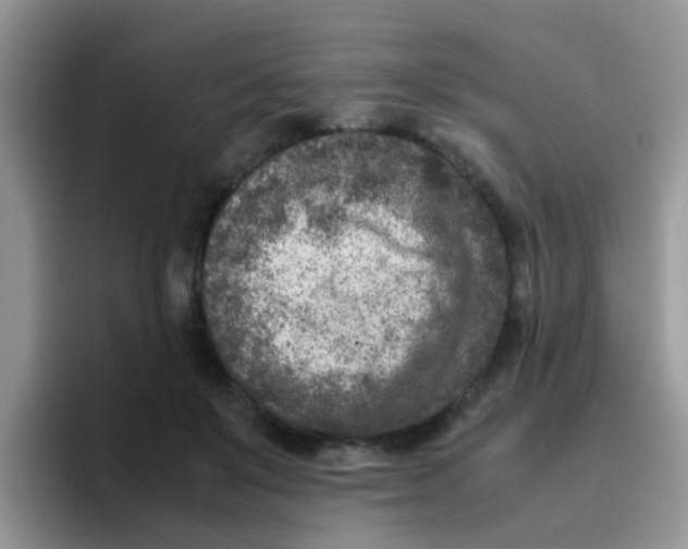 X0000095910503200802081056