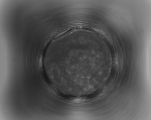 X0000095910504200802081056