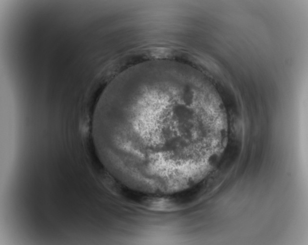 X0000095910507200802081056