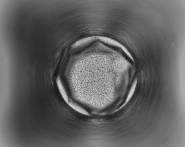 X0000095910508200802081056