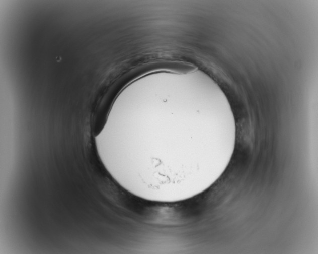 X0000095910509200802081056