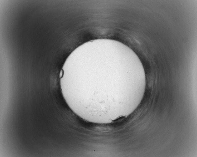 X0000095910515200802081056