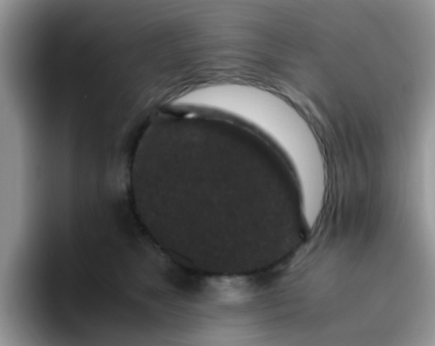 X0000095910517200802081055