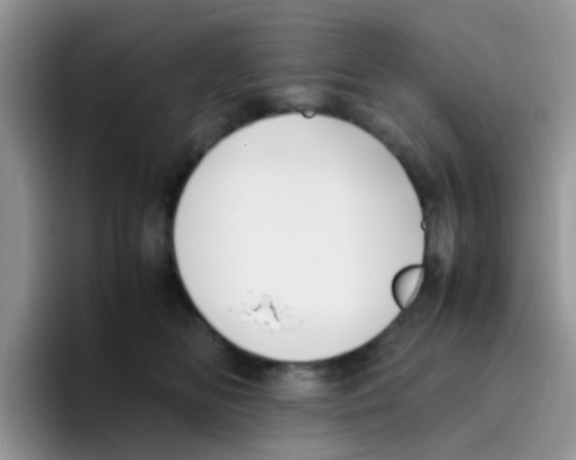 X0000095910518200802081055