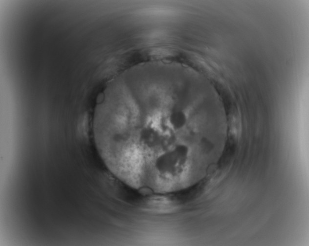 X0000095910519200802081055