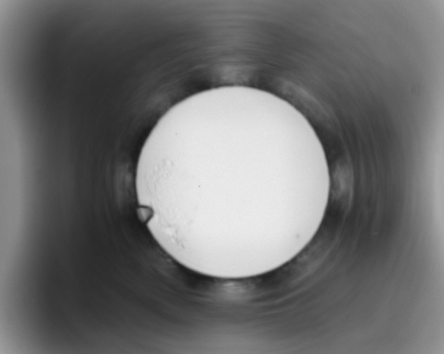 X0000095910522200802081055