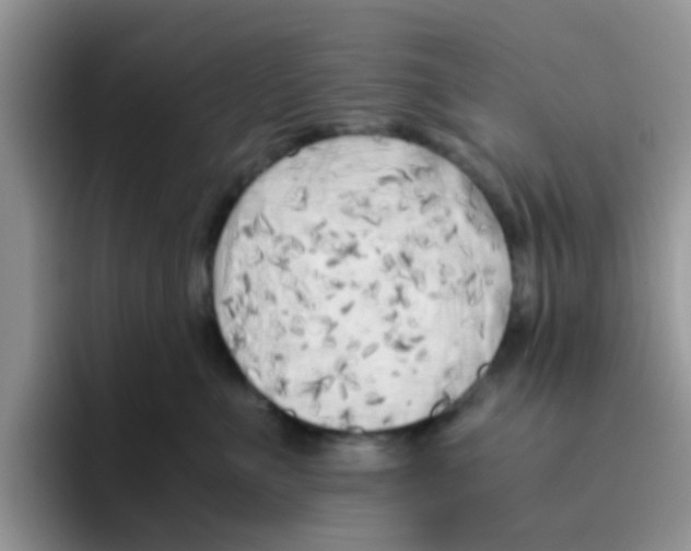 X0000095910523200802081055
