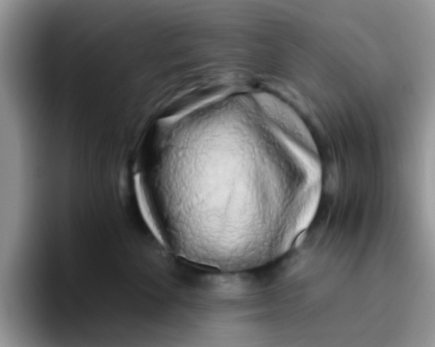 X0000095910524200802081055