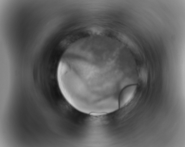 X0000095910526200802081055