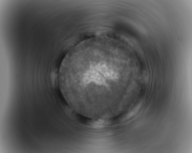 X0000095910527200802081055