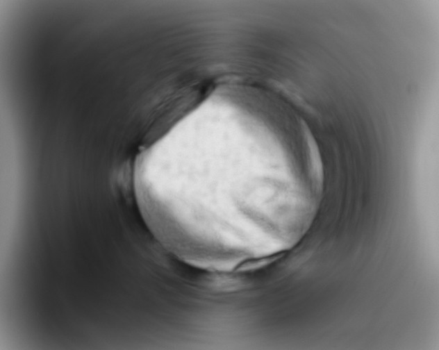 X0000095910528200802081055