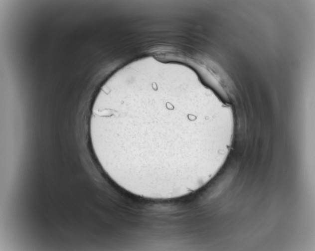 X0000095910529200802081055