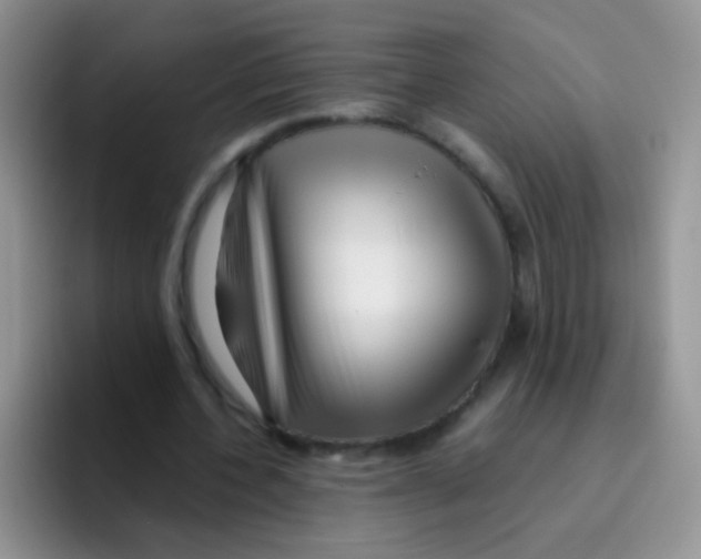 X0000095910532200802081055