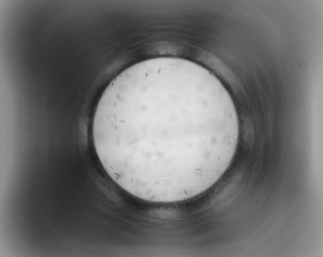 X0000095910537200802081055
