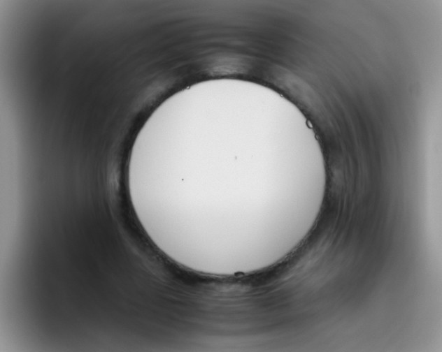 X0000095910539200802081055