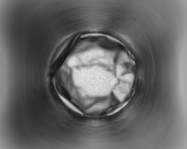 X0000095910540200802081055