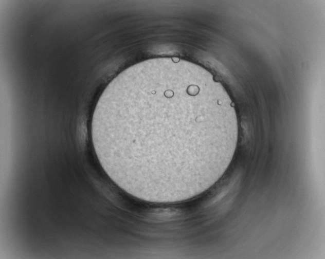 X0000095910541200802081055