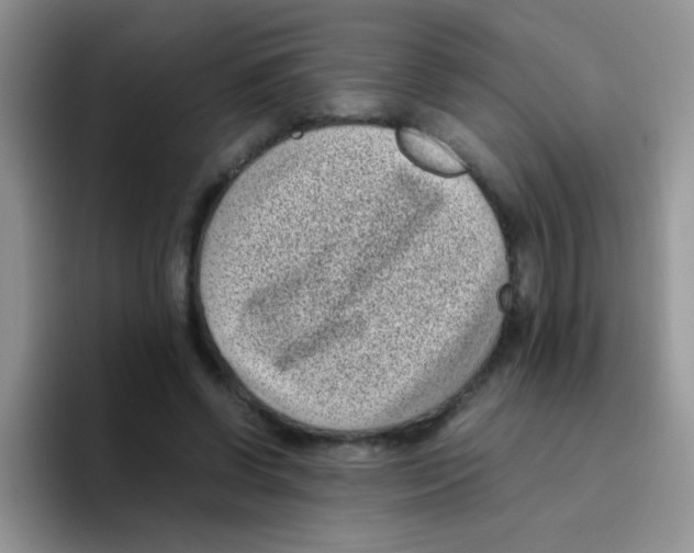 X0000095910542200802081055